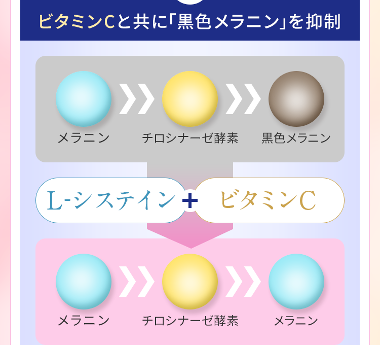 ビタミンCと共に「黒色メラニン」を抑制