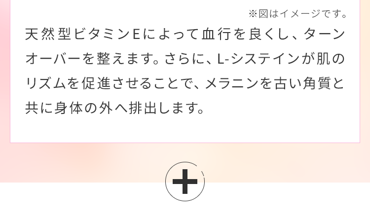 メラニンを古い角質と共に身体の外へ排出します。